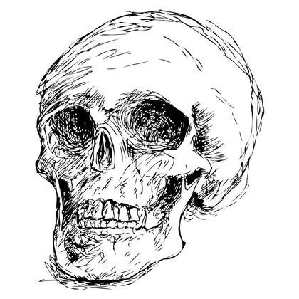 Skull Sketch