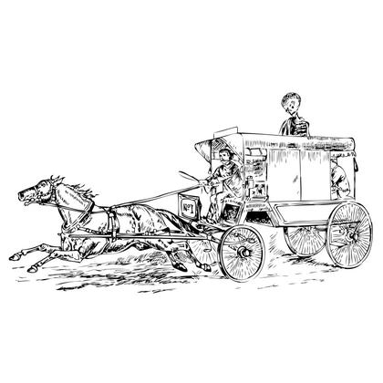 Unleash Your Creativity with Our Remarkable Horse Vector Collection