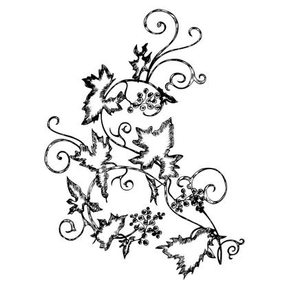 Vine Leaves and Grapes Illustration