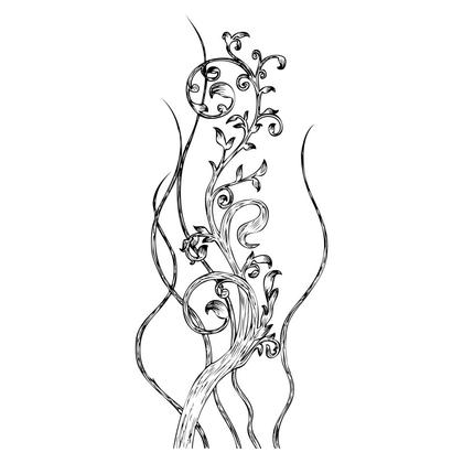 Floral Vine Illustration
