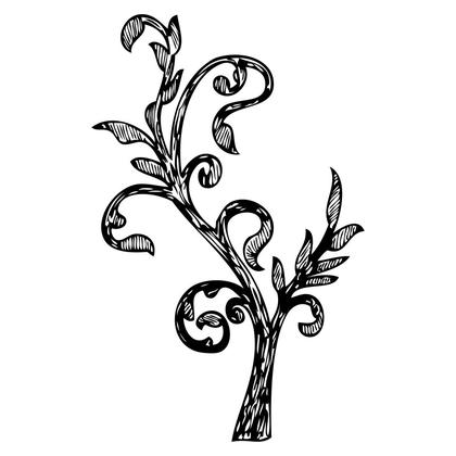 Elegant Vine Illustration