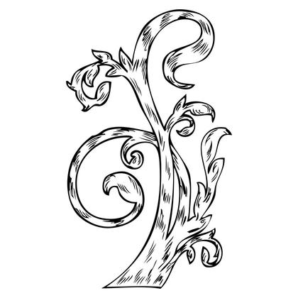 Floral Ornament