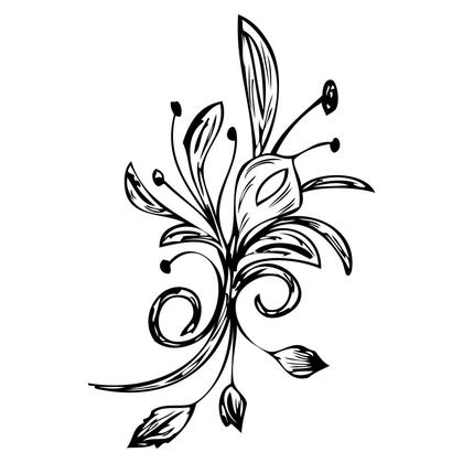 Floral Illustration