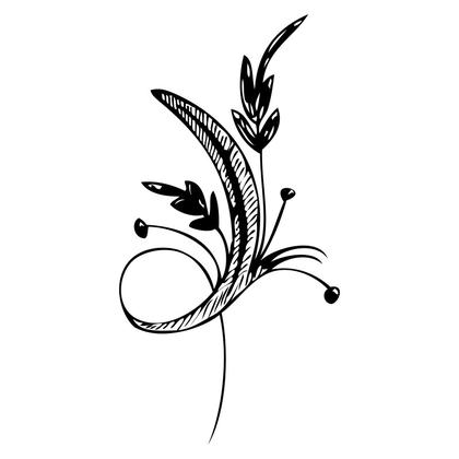 Floral Illustration