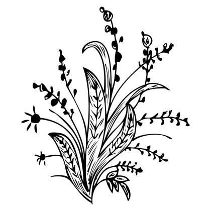 Floral Black and White Illustration