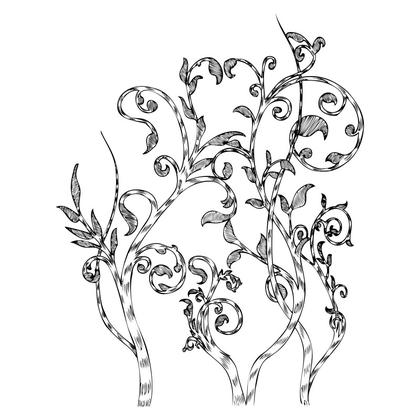 Decorative Floral Vines