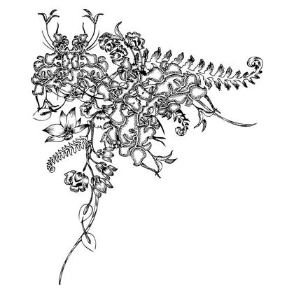 Floral Corner Illustration