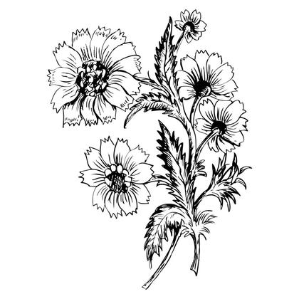 Floral Sketch