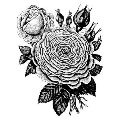 Detailed Rose Bouquet