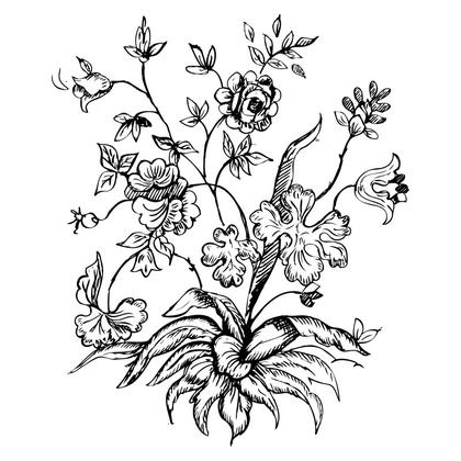 Floral Sketch