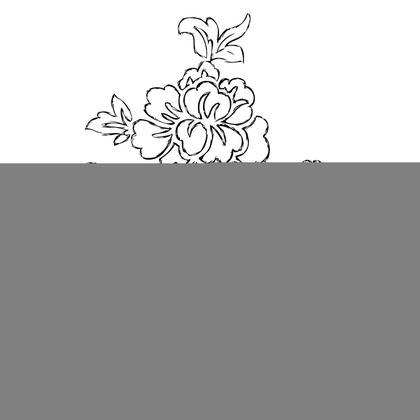 Floral Sketch