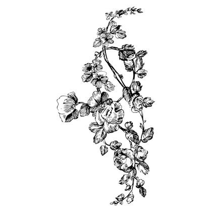 Elegant Floral Illustration