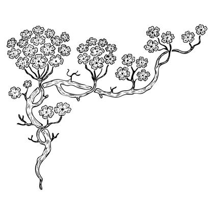 Cherry Blossom Branch