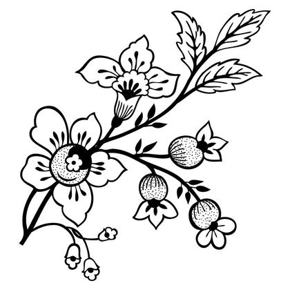 Floral Branch Illustration