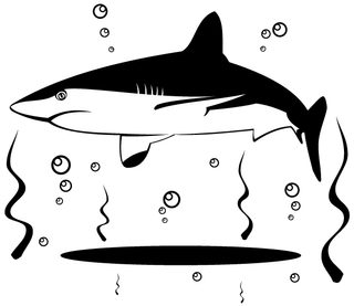 Free Vector Shark