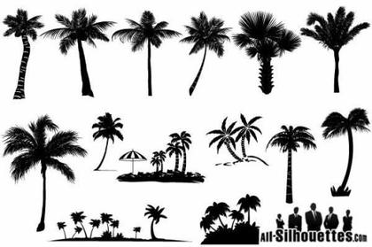 Unveiling the Exciting Palm Vector Collection: A Palette of 15+ Designs
