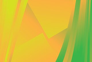 Abstract Geometric Gradient