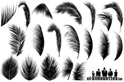 Unveiling the Exciting Palm Vector Collection: A Palette of 15+ Designs
