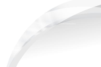 Abstract White Curves