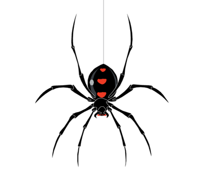Spider web vector art