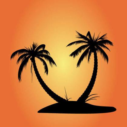 Unveiling the Exciting Palm Vector Collection: A Palette of 15+ Designs