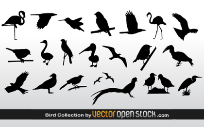 Free Vector Bird Silhouettes Collection