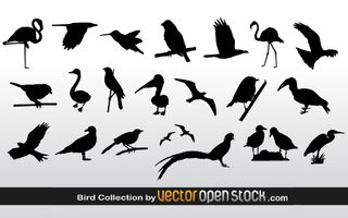 Free Vector Bird Silhouettes Collection