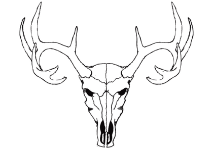 Deer Skull Vector Free