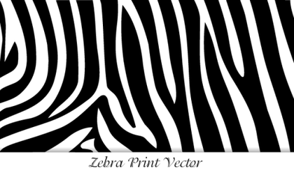 Zebra Print Vector