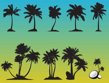 Palm Tree Free Vector Set