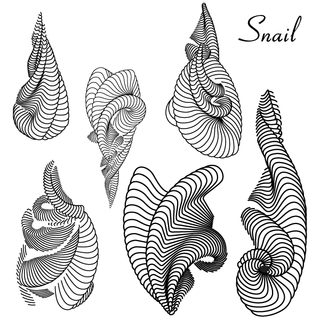 Snails