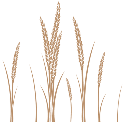 Ear of Wheat Vector Art Free