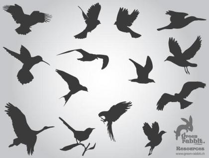 Free Flying Birds Silhouettes Vector Images