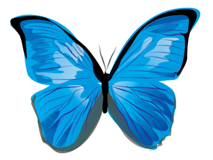Butterfly Image