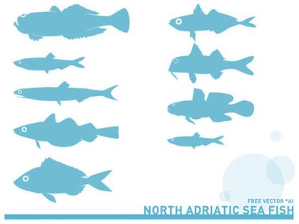 Adriatic Sea Fish Silhouettes Free Vector