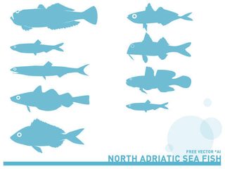 Adriatic Sea Fish Silhouettes Free Vector