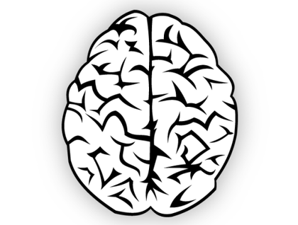 Brain Vector Free