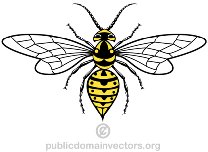 Wasp Vector Image