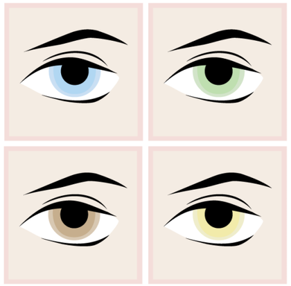 Eyes Vector Free Download