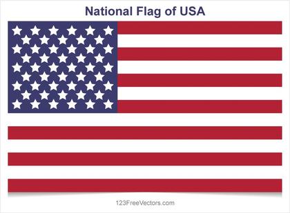 USA Flag Vector