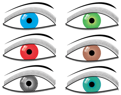 Vector Eyes Illustration Free