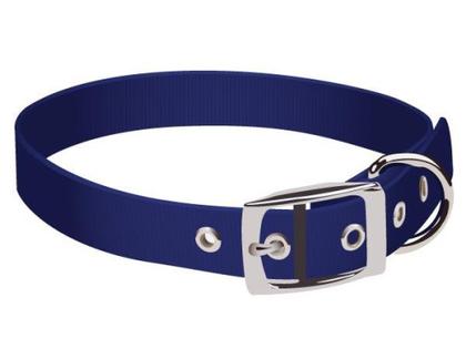 Dog Collar Vector