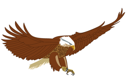 Flying American Eagle Vector Image
