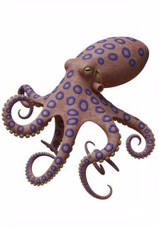 blue-ringed-octopus