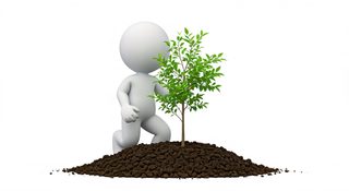 character planting tree