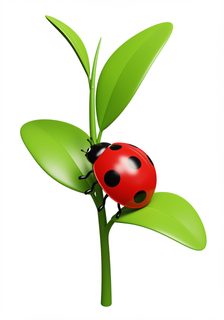 ladybug-on-plant