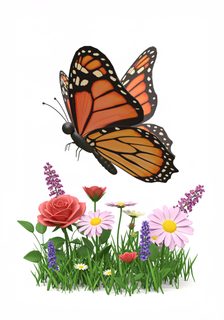 butterfly in garden