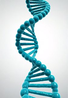 DNA Helix