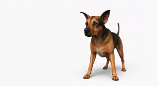 terrier dog render