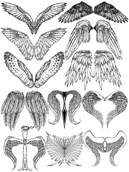 Collection of Angel Wings